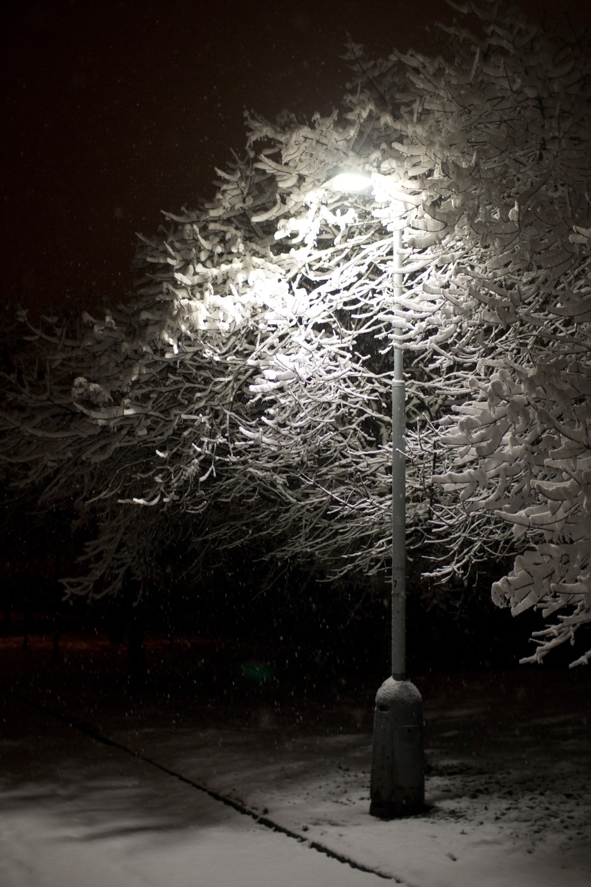Lampa a zasněžený strom