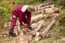 Řezání dřeva