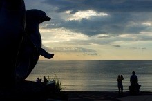 Silueta sochy delfína