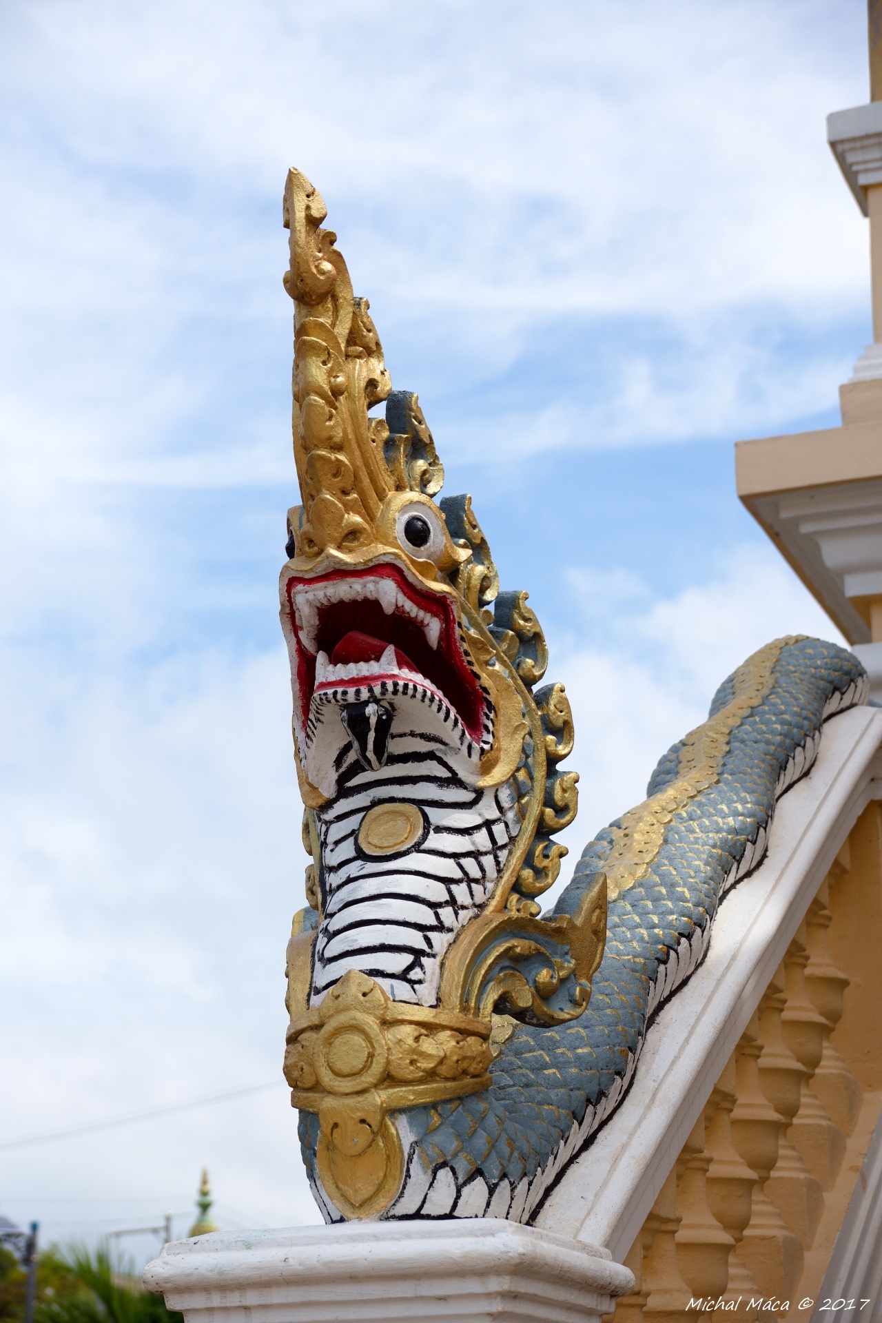 Chrám Wat Po Veal