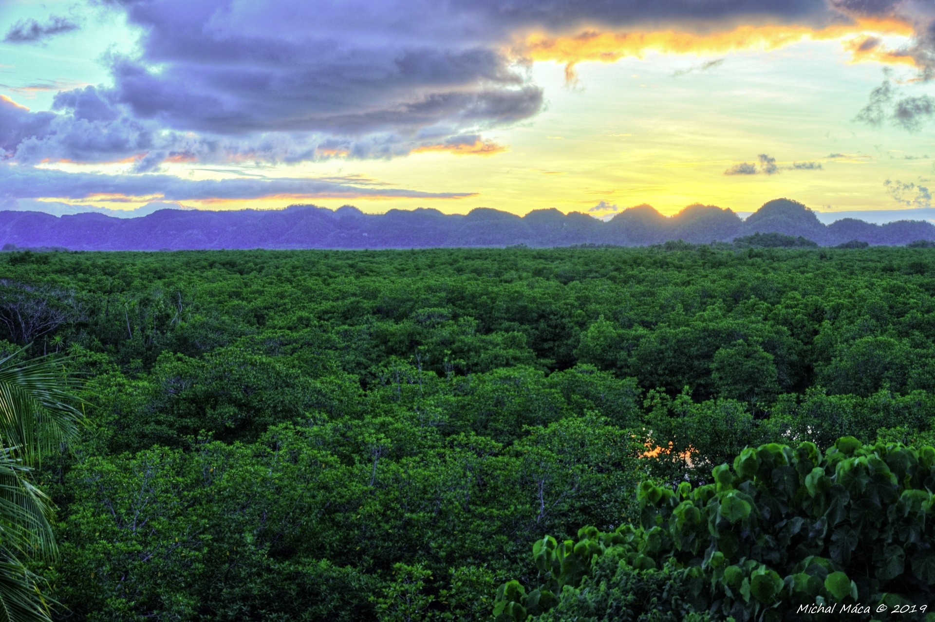 Západ slunce na mangrovem