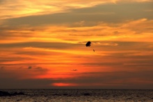 Paragliding za západu slunce