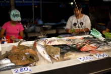 Trh s rybami