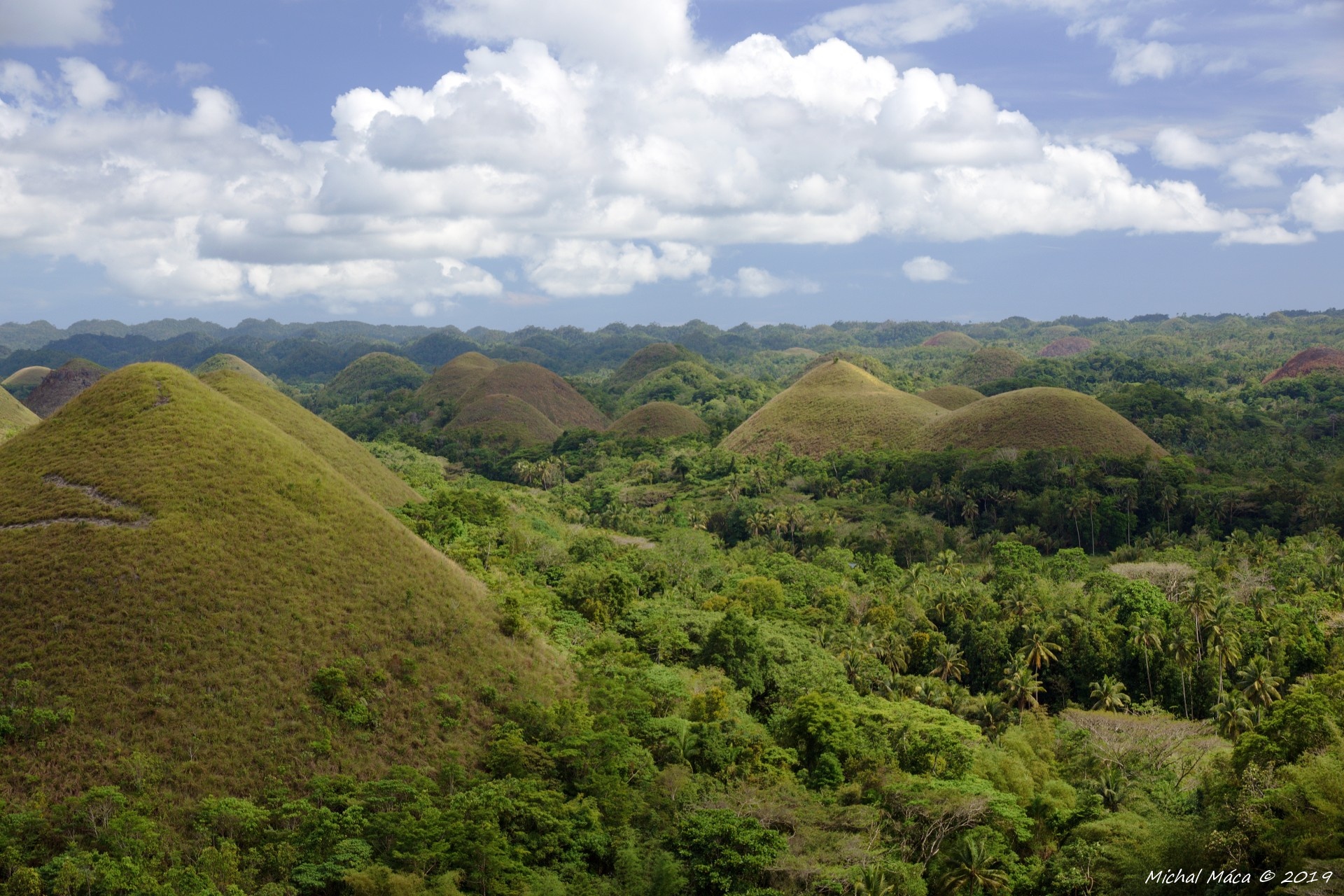 Chocolate Hills